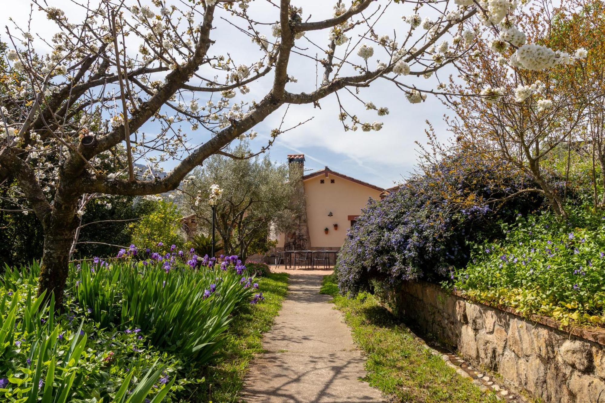 Vakantiehuis Casa Valeriana Navaconcejo