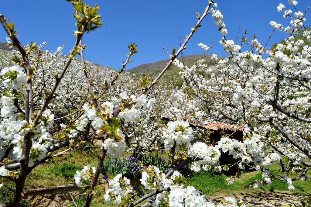 Vakantiehuis Casa Valeriana Navaconcejo