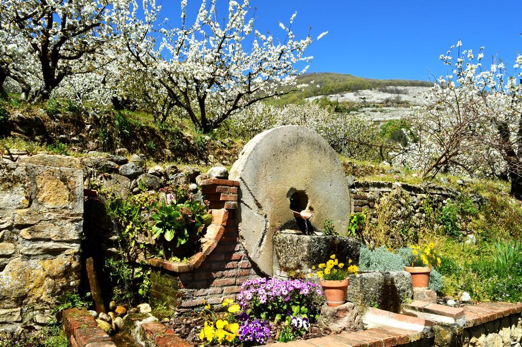 Casa Valeriana Vakantiehuis Navaconcejo